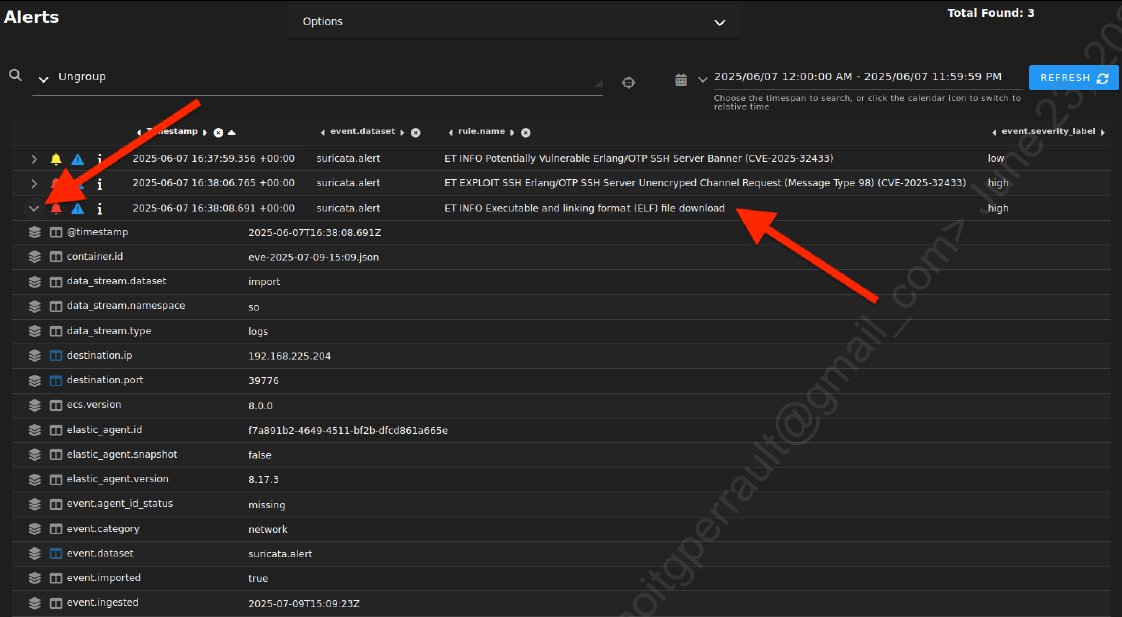 Security Onion Suricata alerts