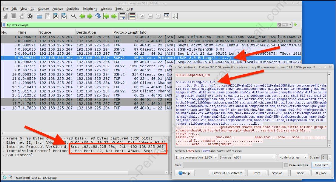 Wireshark TCP stream of C2 traffic